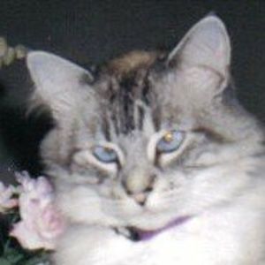 Meet your Posher, Beverly